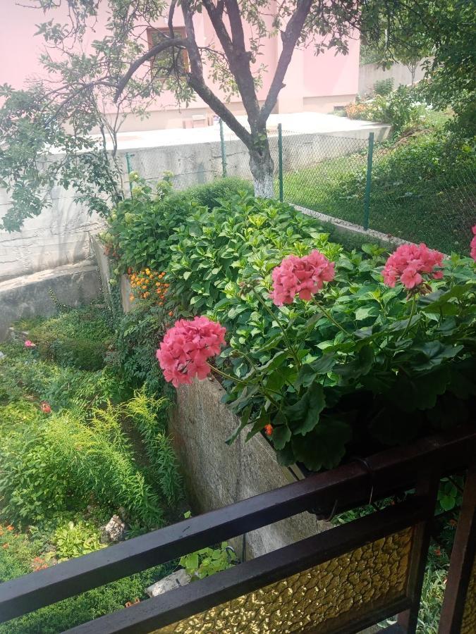 Azra Daire Visoko Dış mekan fotoğraf
